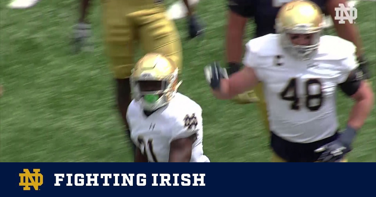 Highlights – 2017 Notre Dame Football Blue-Gold Game – Notre Dame ...