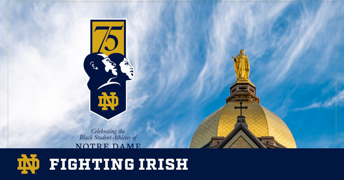 celebrate diversity?  Fighting irish, Go irish, Notre dame