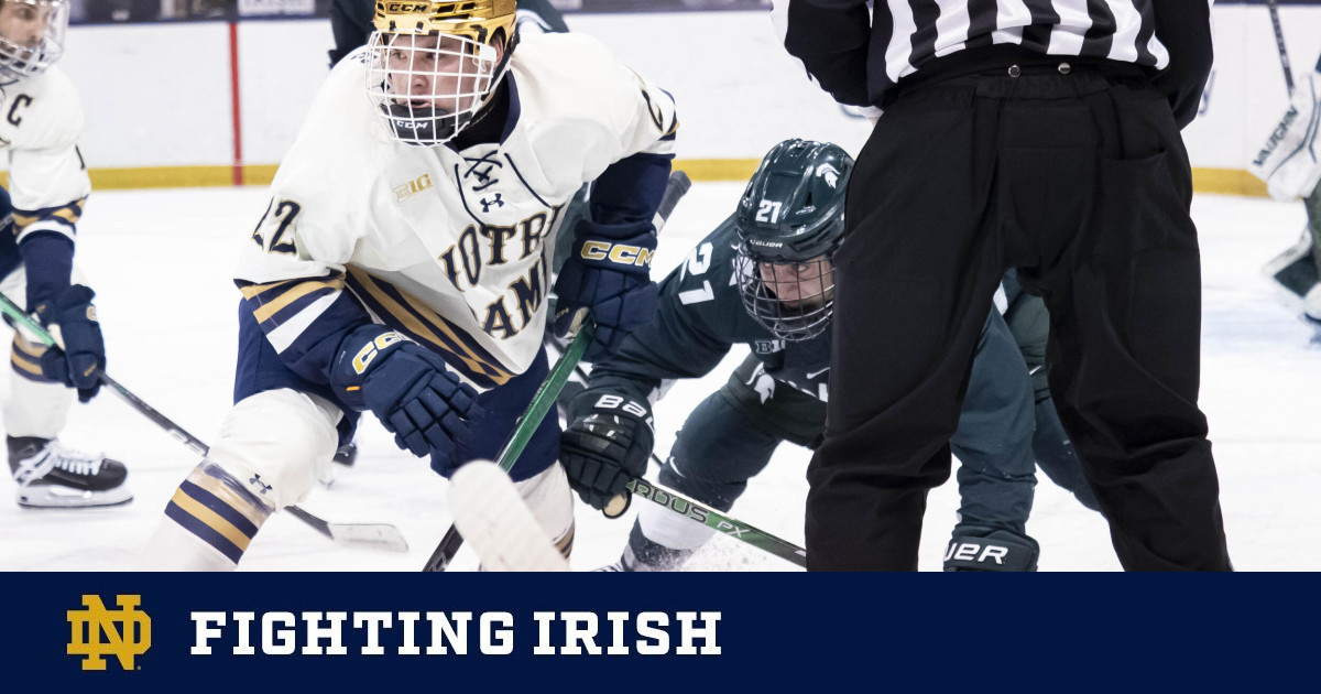 SEASON PREVIEW: Stratford Fighting Irish features familiar local faces as  it prepares to drop the puck in new league