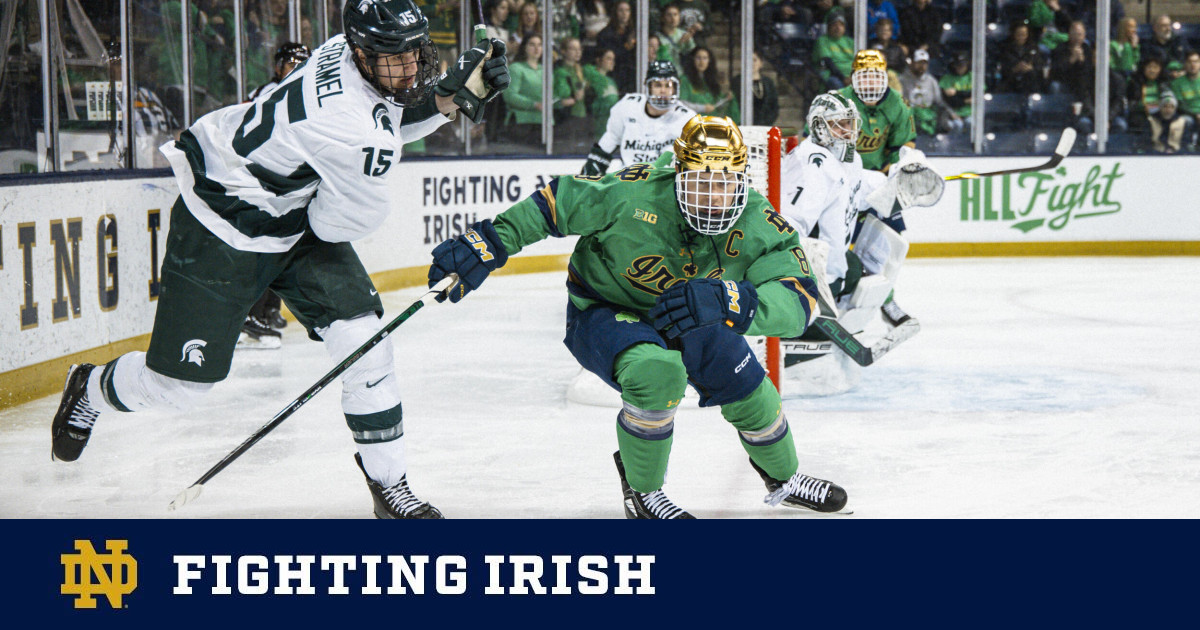 Hockey Drops Senior Night Battle With #3/3 Spartans