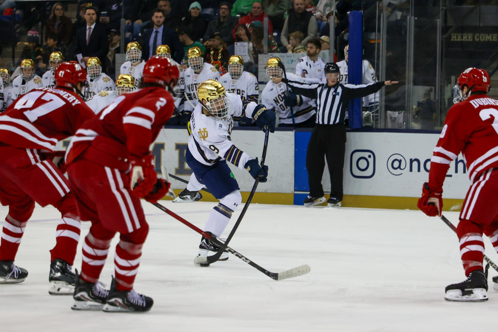Irish Fall In Barn Burner With Badgers Irish Fall In Barn Burner With Badgers