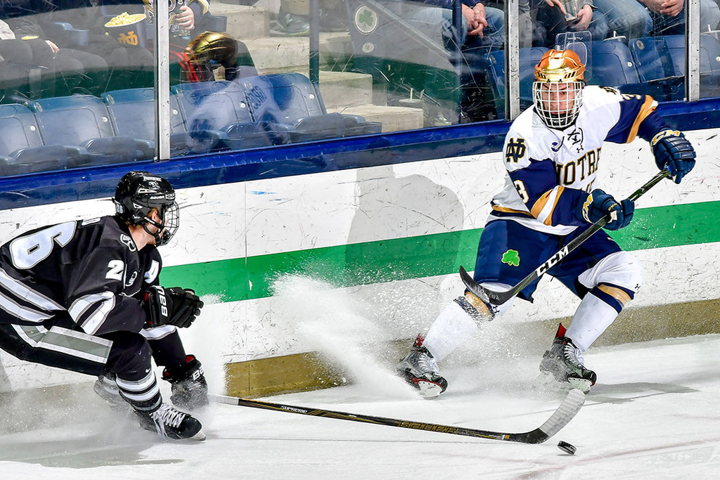 A Season in Photos: 2016-17 Notre Dame Hockey
