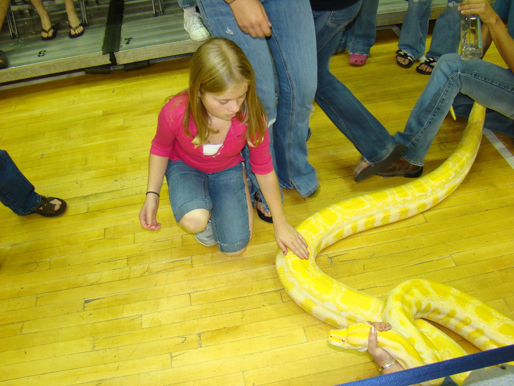 Women's Volleyball vs. Seton Hall