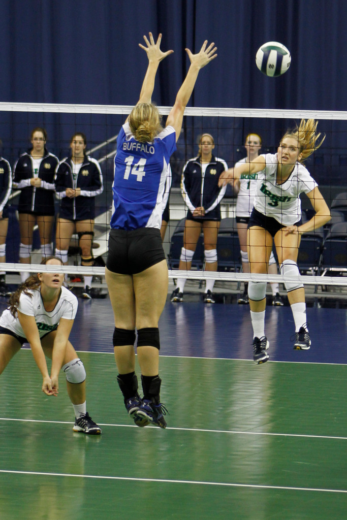 Volleyball vs. Buffalo