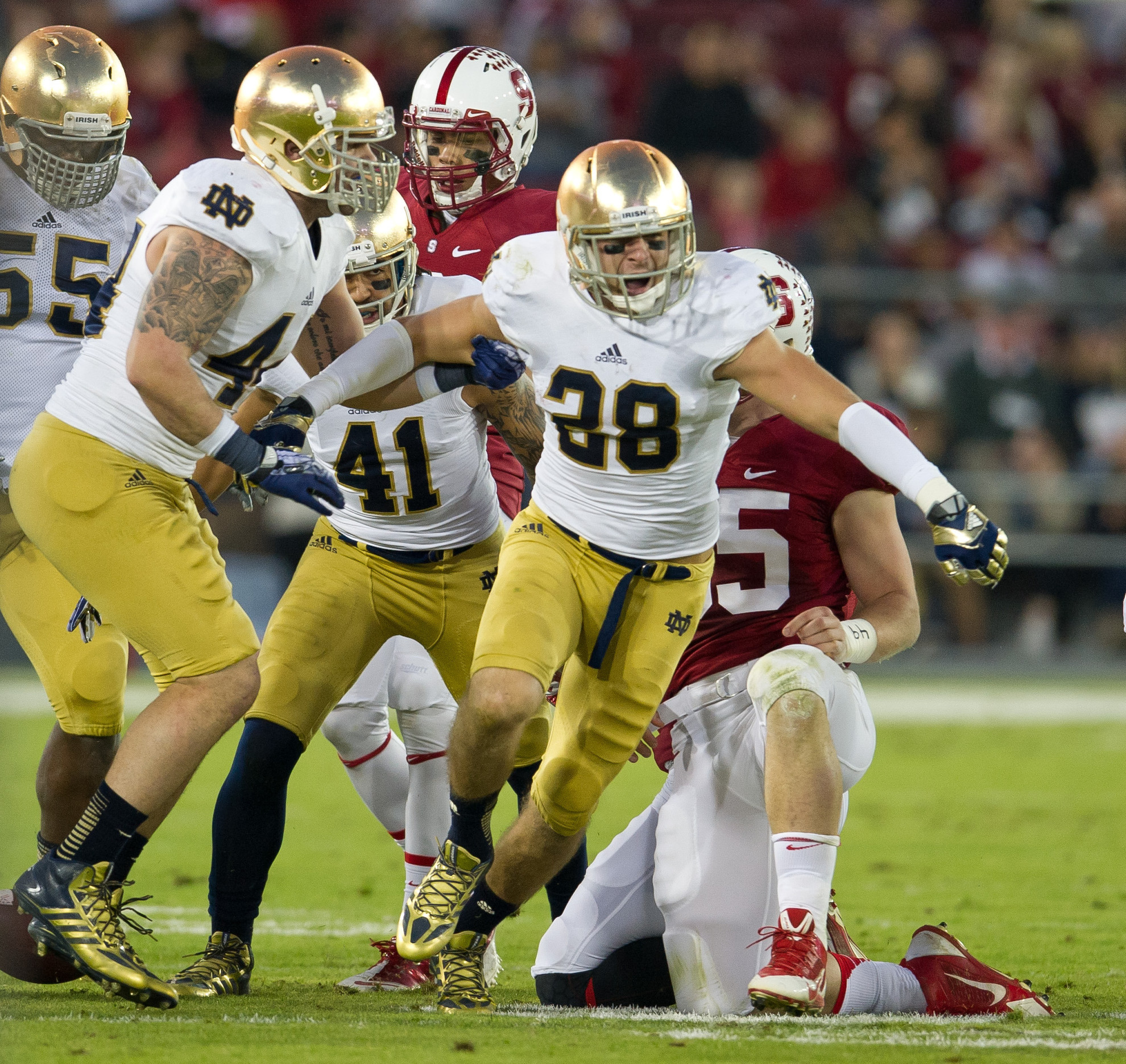 Sticking to the Plan Notre Dame Safety Austin Collinsworth celebrates after an interception.