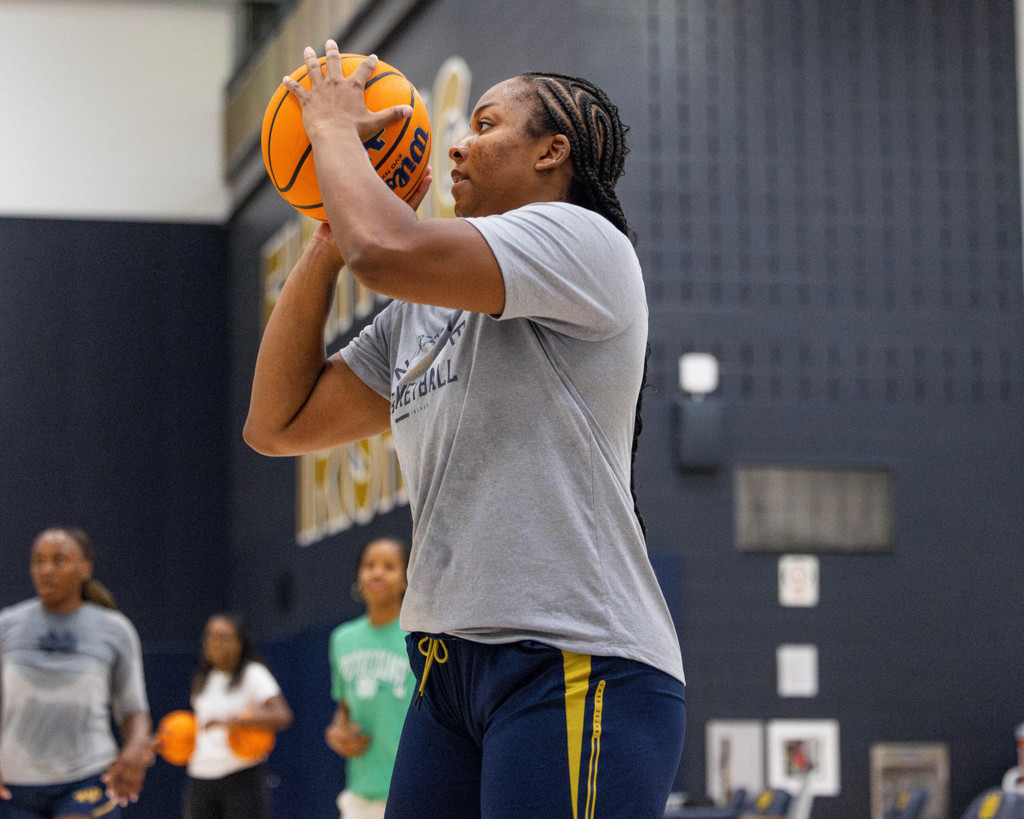 Notre Dame Fighting Irish - Official Athletics Website