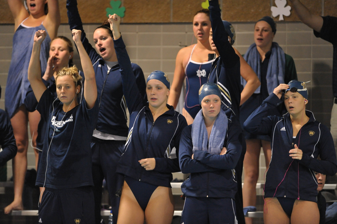 Irish Swimming And Diving Recognized For Academic Success Once again, the irish are among the nation's top academic performing squads.