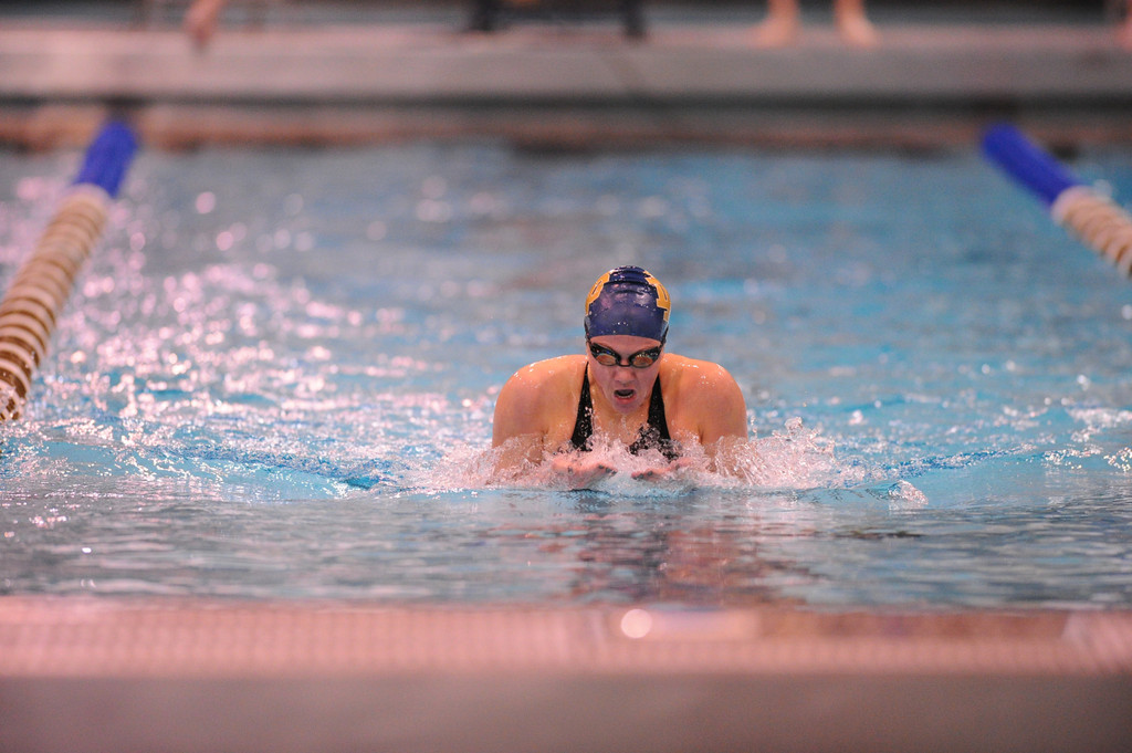 Shamrock Invitational - Jan. 31 - Feb. 1, 2014