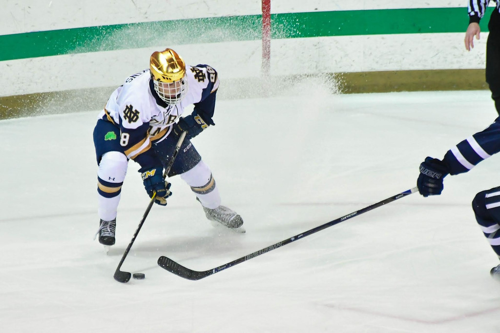 A Season in Photos: 2016-17 Notre Dame Hockey