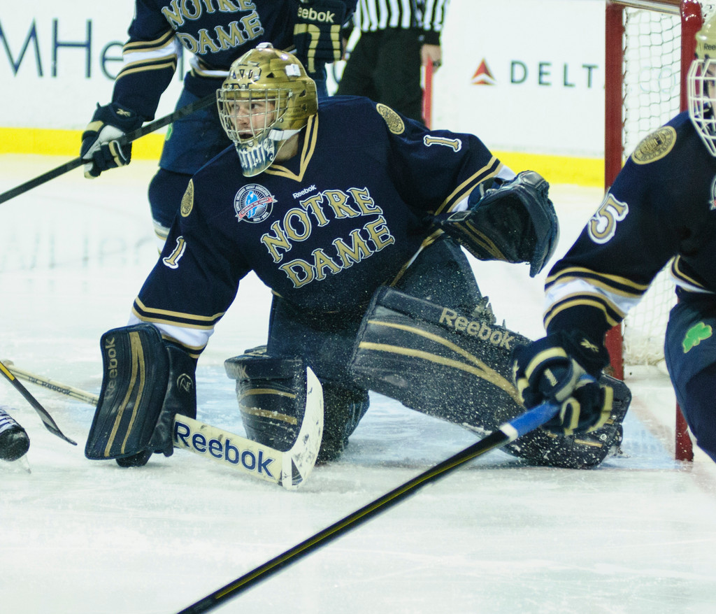 Notre Dame Men's Hockey vs Michigan 11-16-2012