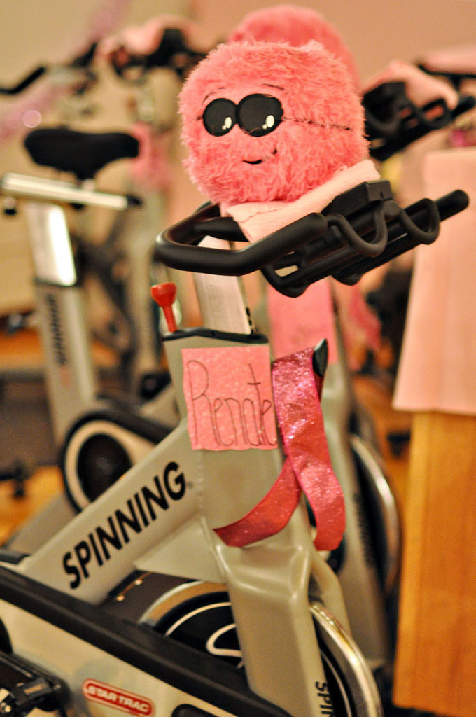 A Season in Photos: 2010-11 Notre Dame Women's Basketball