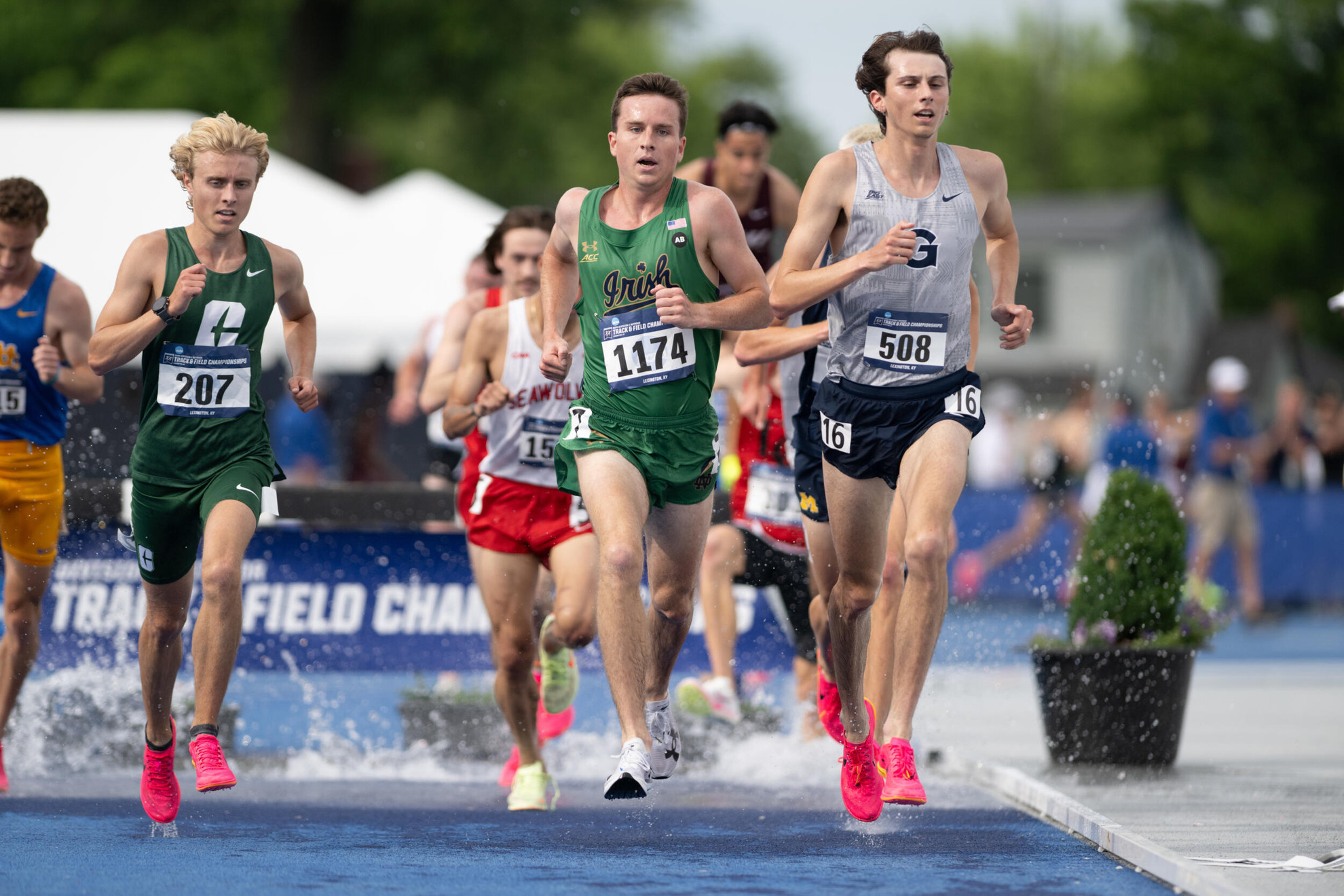 Irish Qualify For NCAA Championships In Eugene Irish Qualify For NCAA Championships In Eugene