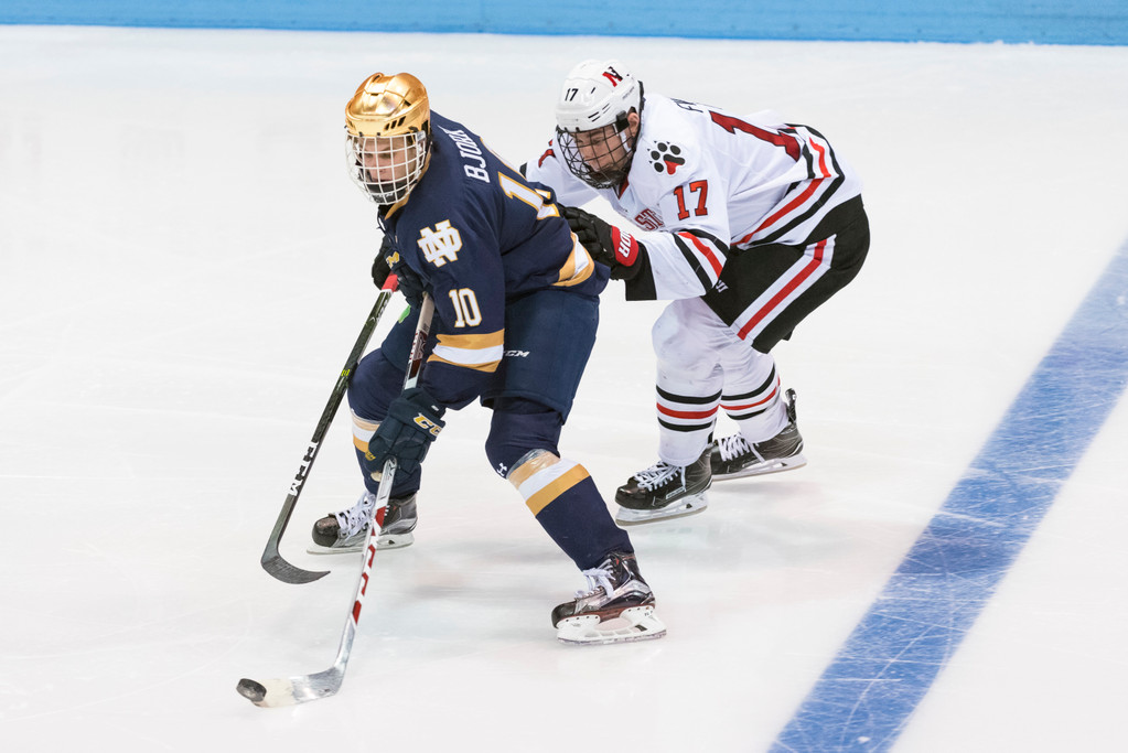 A Season in Photos: 2016-17 Notre Dame Hockey