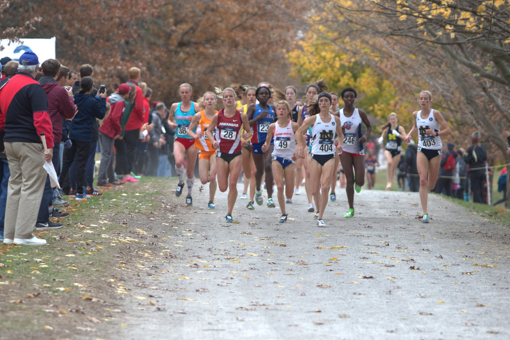 2015 NCAA Cross Country Championships