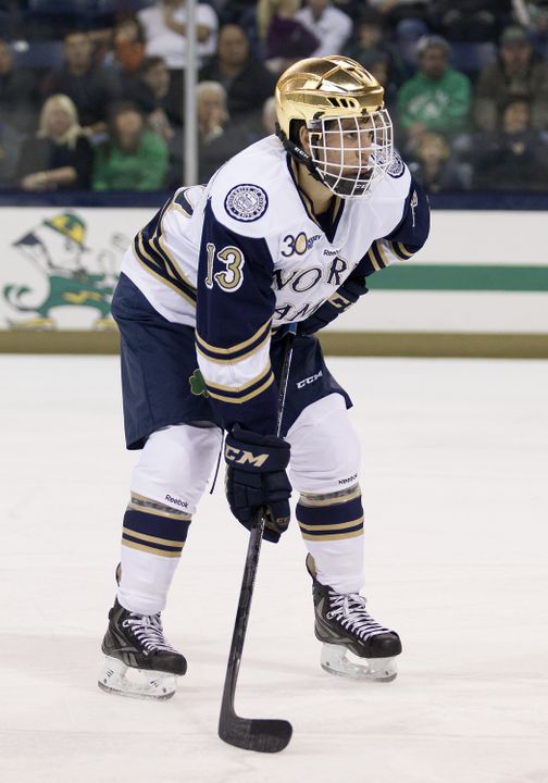 Sophomore center Vince Hinostroza is Notre Dame's top returning scorer.  He had eight goals and 24 assists for 32 points in his rookie season.