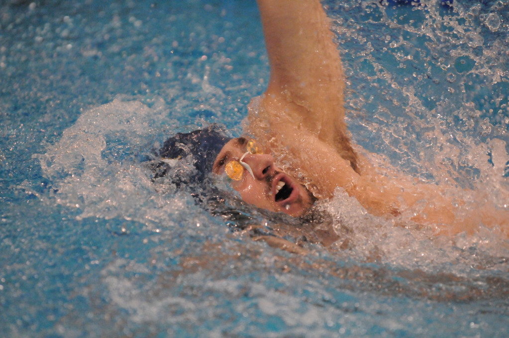 2007-08 Men's Swimming and Diving