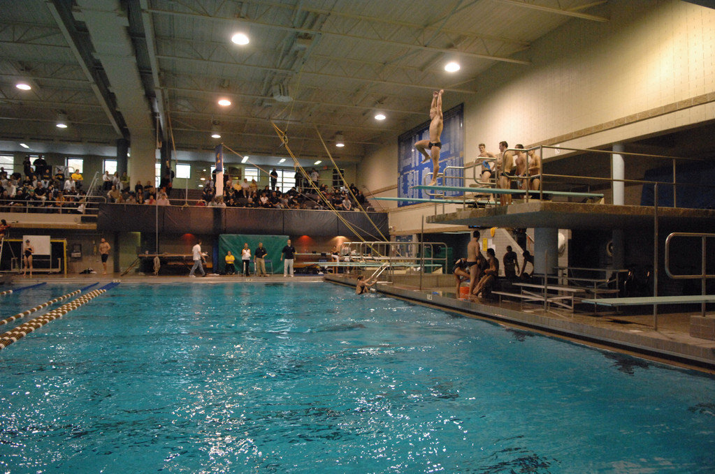 2007-08 Men's Swimming and Diving