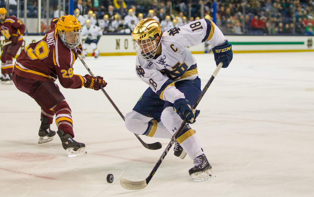 Notre Dame vs. Minnesota (Nov. 25, 2017)