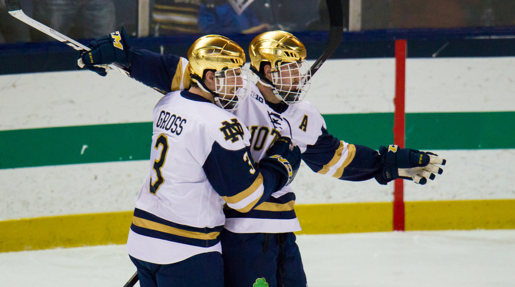 Notre Dame vs. Minnesota (Nov. 24, 2017)