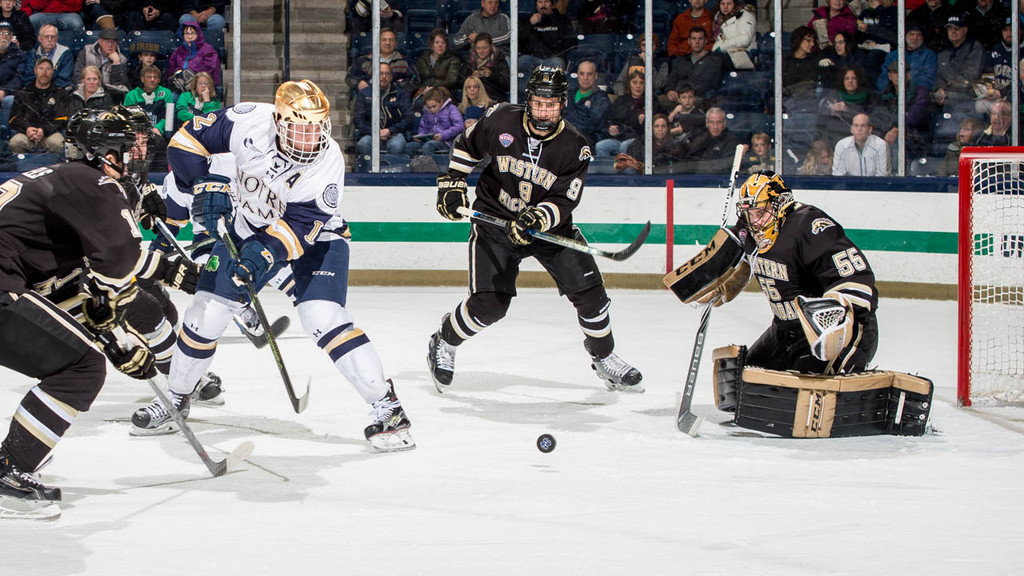 Irish Hockey vs. Western Michigan (1/8/15)