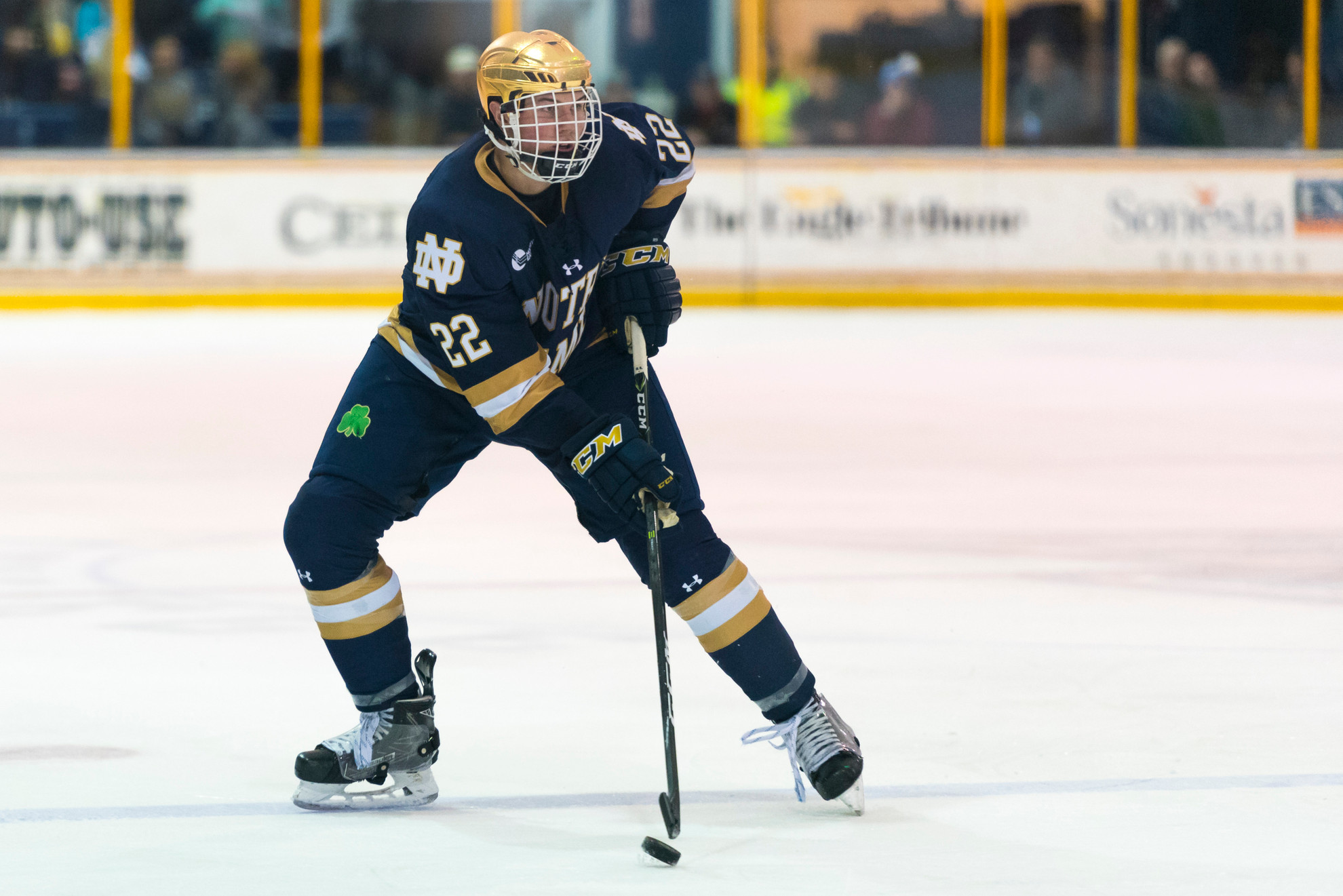 Key Hockey East Series Awaits Irish And Wildcats Key Hockey East Series Awaits Irish And Wildcats