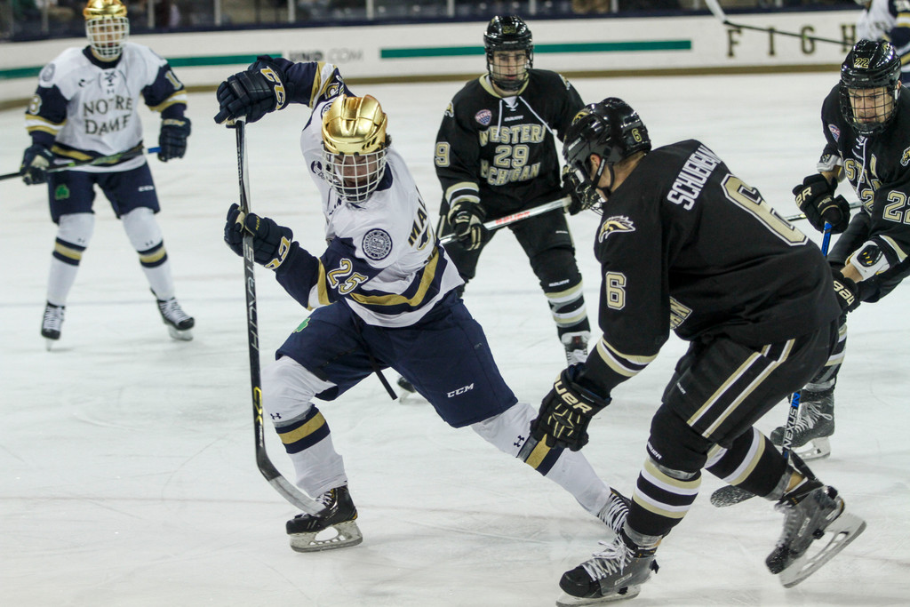 Notre Dame vs. Western Michigan (Nov. 28, 2015)