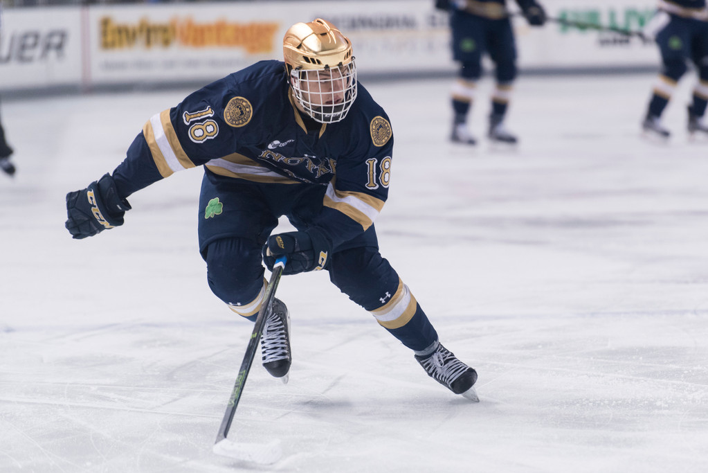 Notre Dame at New Hampshire -- Jan. 23, 2016
