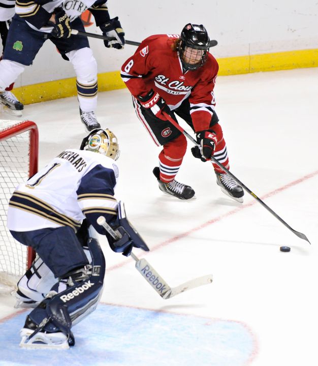 Notre Dame will host the 2015 NCAA hockey regionals at the Compton Family Ice Arena.