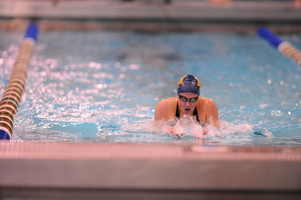 Shamrock Invitational - Jan. 31 - Feb. 1, 2014