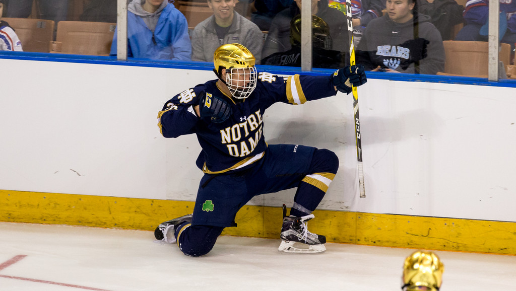 A Season in Photos: 2016-17 Notre Dame Hockey