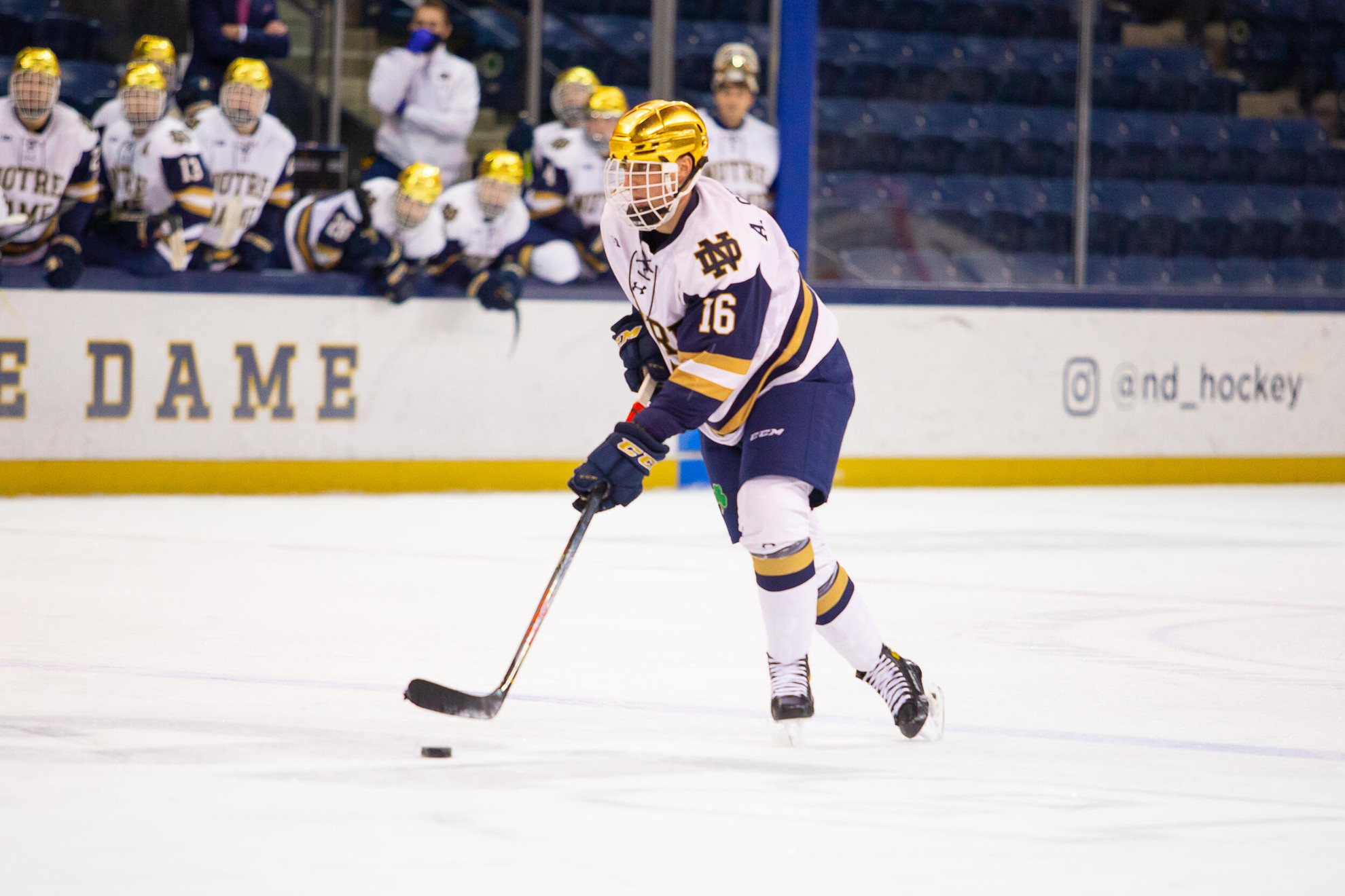 Alex Steeves Named Team MVP Alex Steeves Named Team MVP