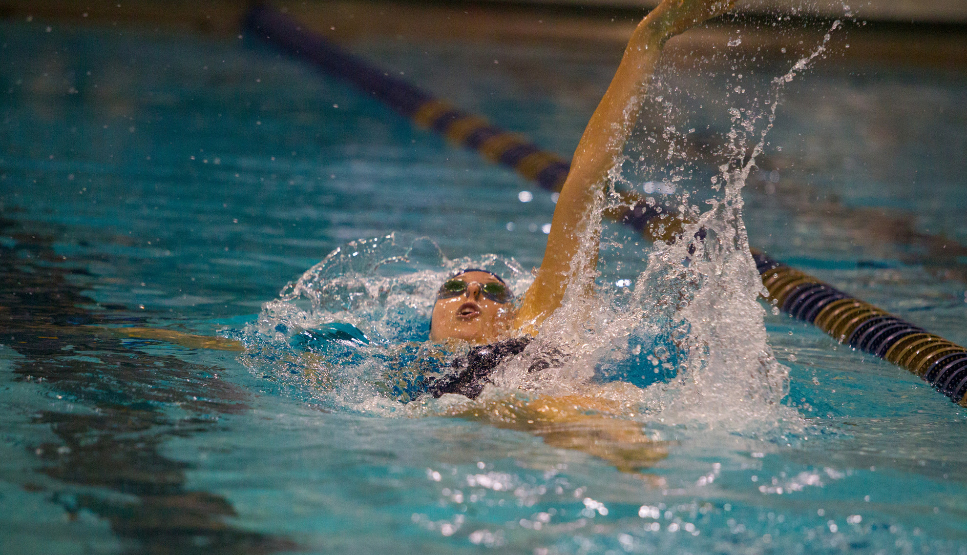 #22 Irish Host Annual Shamrock Invitational This Weekend #22 Irish Host Annual Shamrock Invitational This Weekend