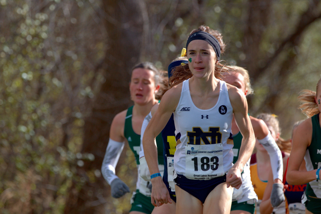 2015 NCAA Great Lakes Regional Championships