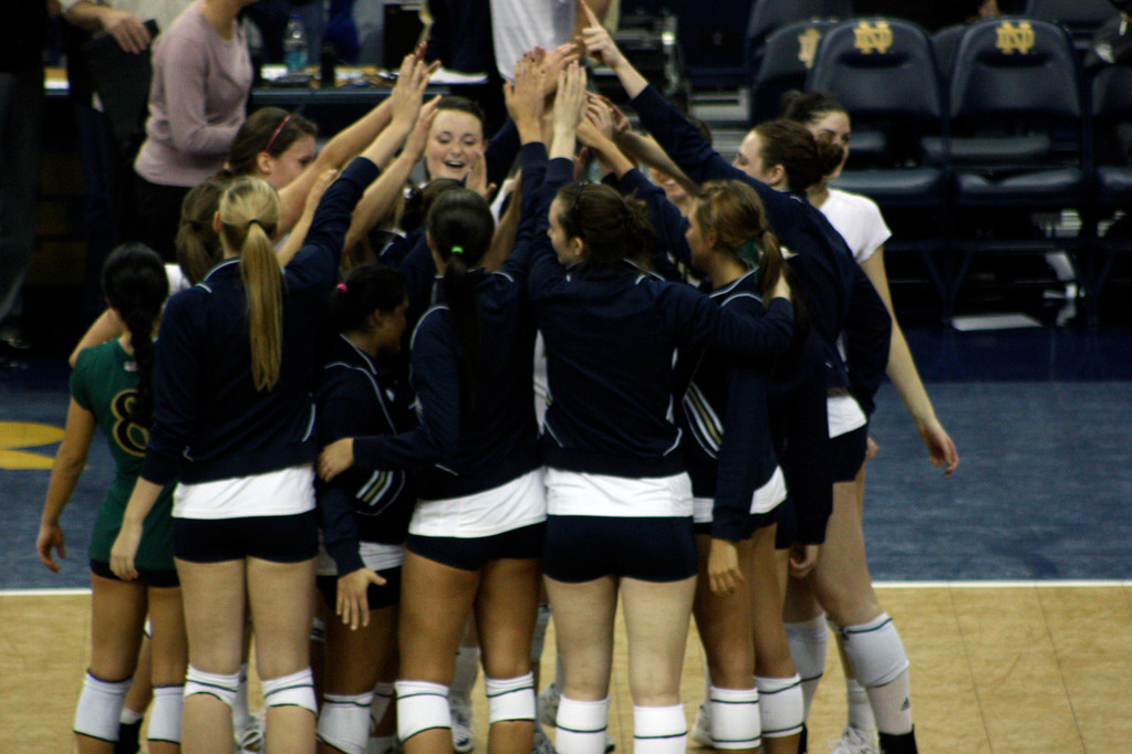 Volleyball Tags USF for 3-1 Win