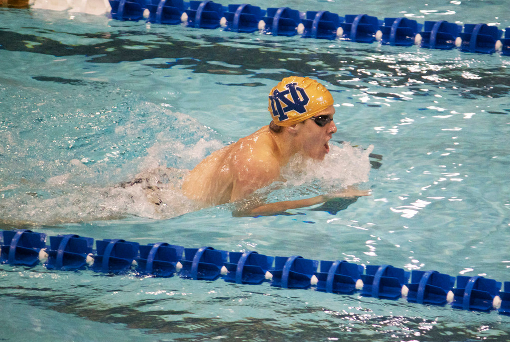 Mens and Womens Swimming, Shamrock Invitational Day 2