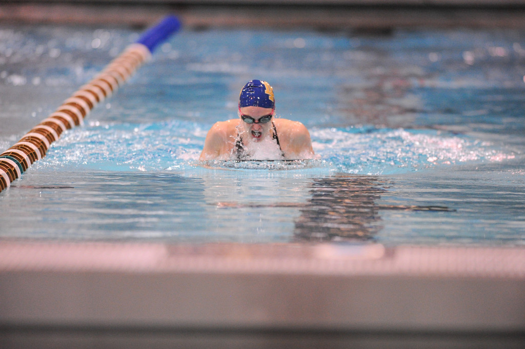 Shamrock Invitational - Jan. 31 - Feb. 1, 2014