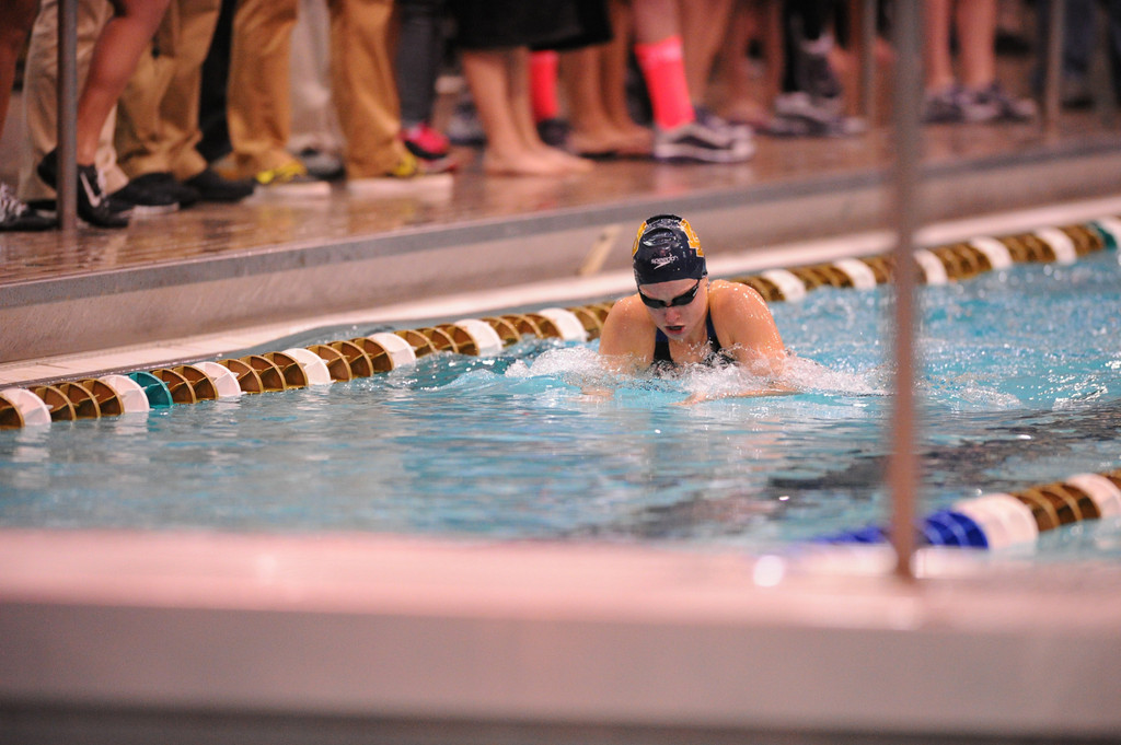 Shamrock Invitational - Jan. 31 - Feb. 1, 2014