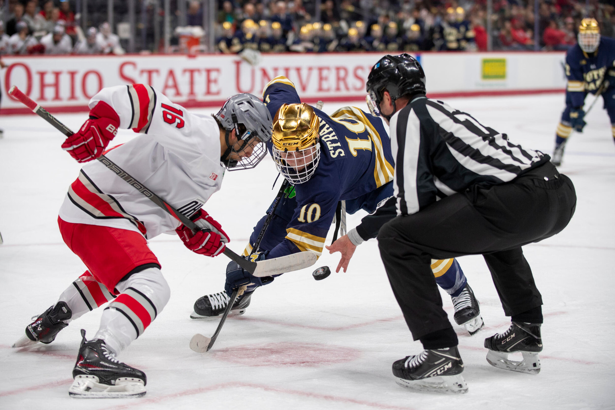 Irish Open February With Buckeyes Irish Open February With Buckeyes