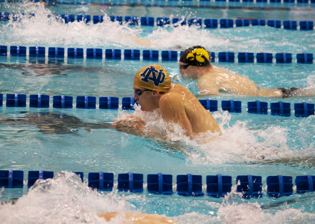 Mens and Womens Swimming, Shamrock Invitational Day 2
