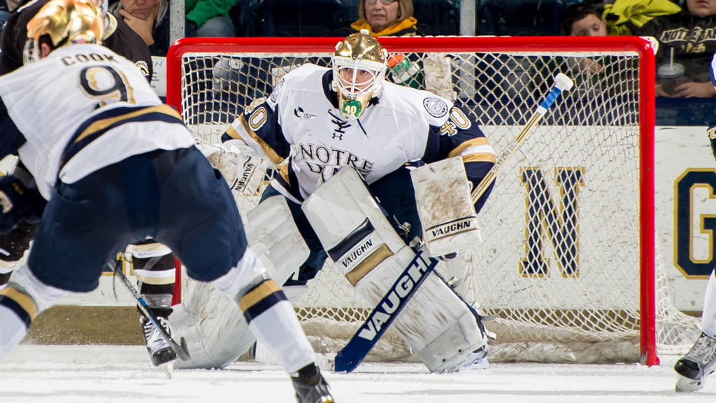 Irish Hockey vs. Western Michigan (1/8/15)