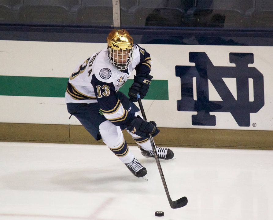 Freshman center Vince Hinostroza is among the top freshmen scorers in Hockey East and the nation in his rookie year.