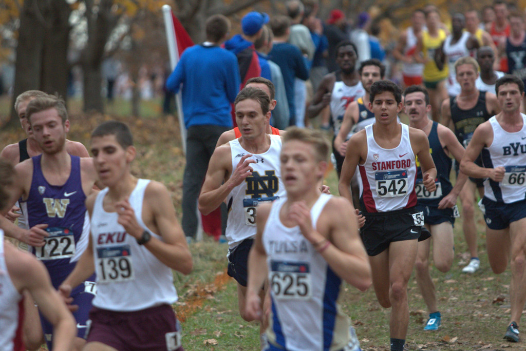 2015 NCAA Cross Country Championships