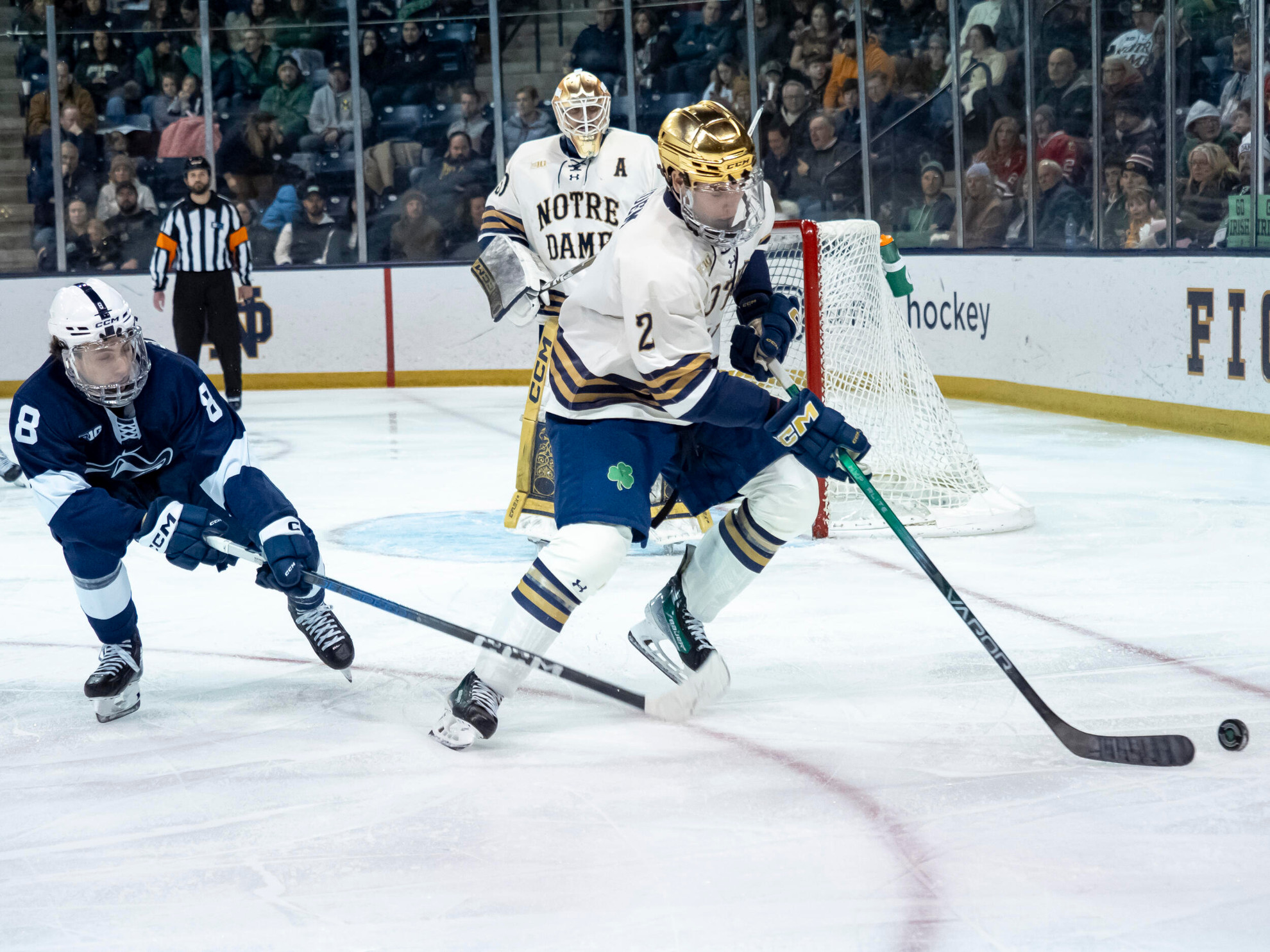 Siedem Signs With Hartford Siedem Signs With Hartford