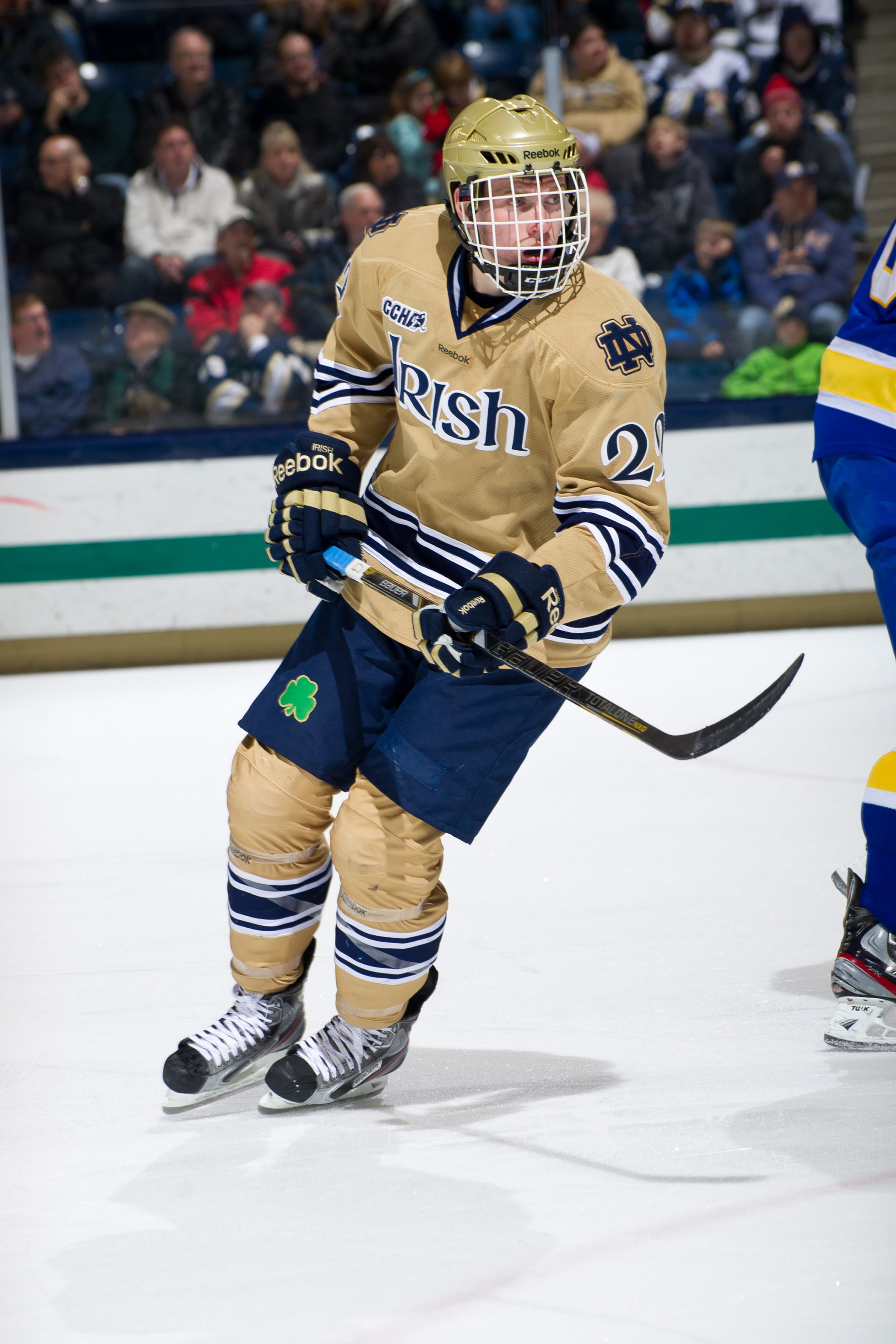 Irish Fall To Alaska, 2-1 Freshman Mario Lucia scored his seventh goal of the season in the 2-1 loss to Alaska.