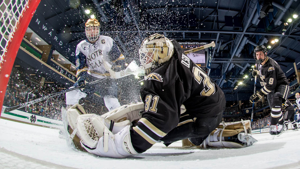Irish Hockey vs. Western Michigan (1/8/15)