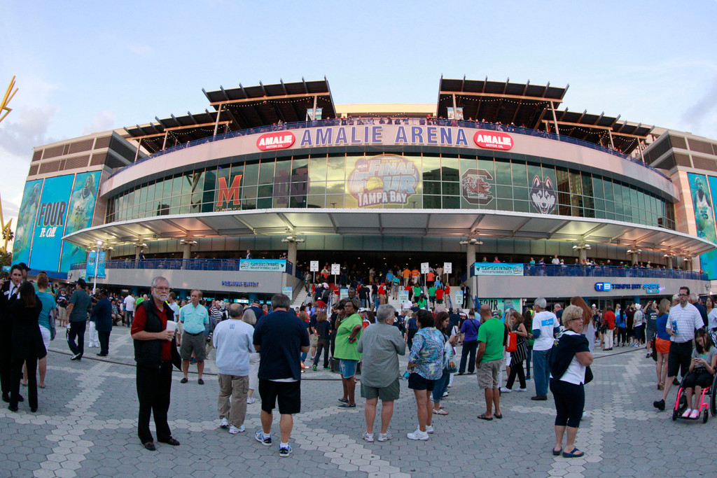 Women's Basketball vs. UConn - National Championship
