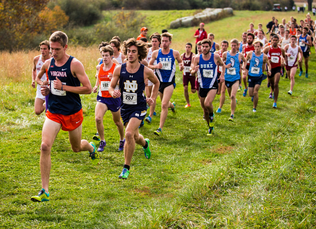 2014 ACC Championships