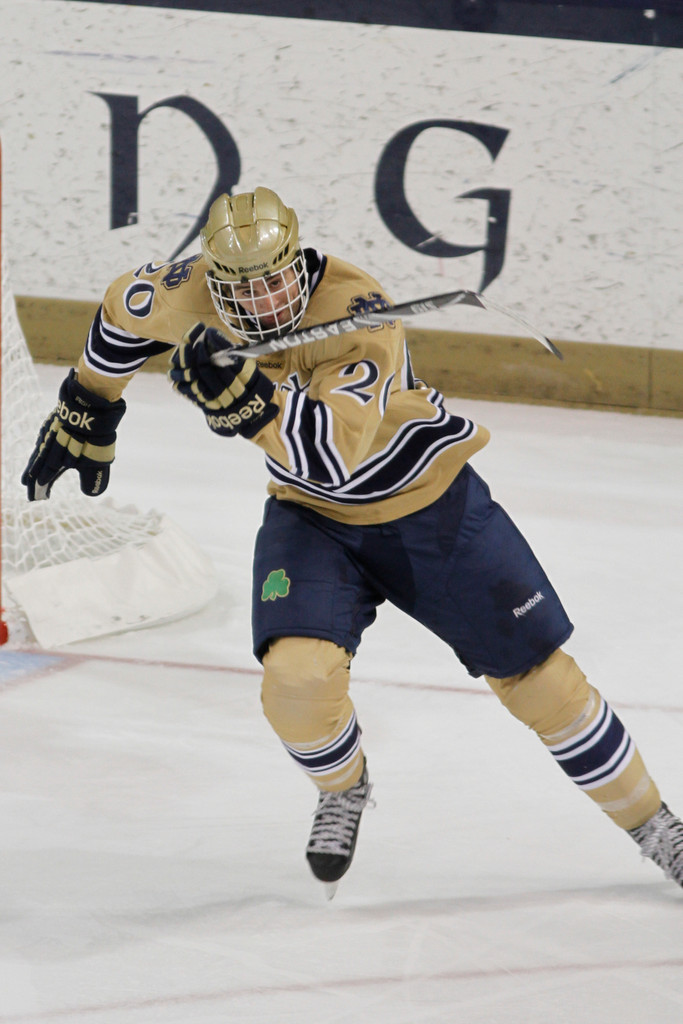 11/4 Hockey vs. Western Michigan