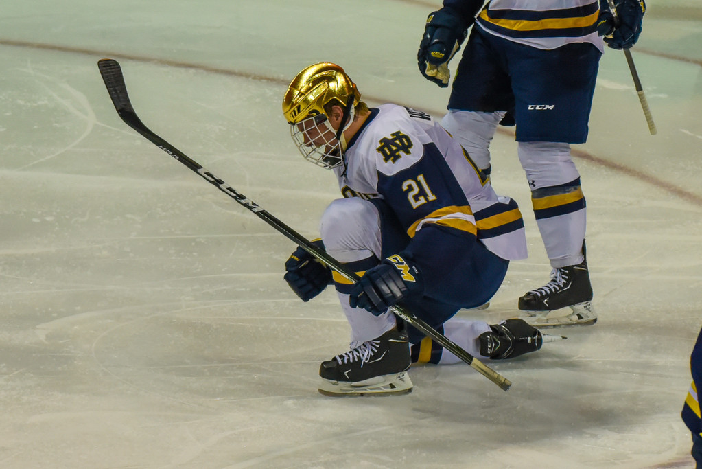 No. 1 Notre Dame Hockey vs. Michigan, Game 3