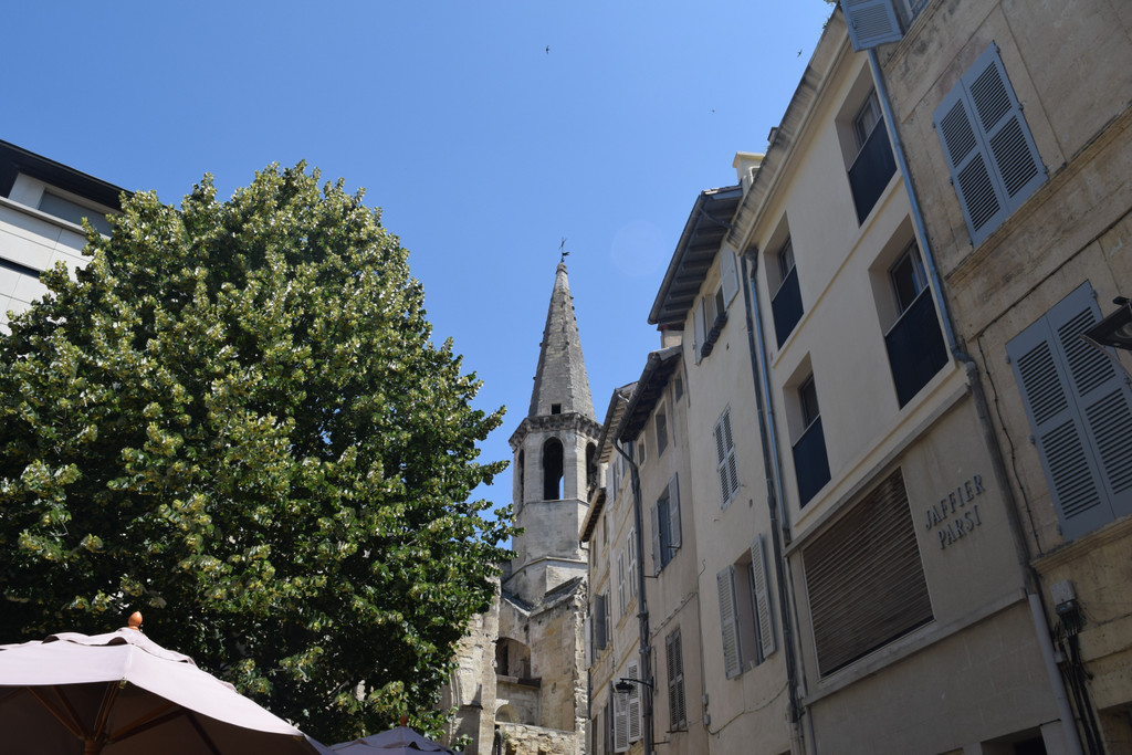 Irish Abroad in France: Avignon